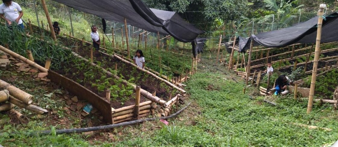 Children working in a terraced vegetable garden at Fundación Dar Esperanza, Cali
