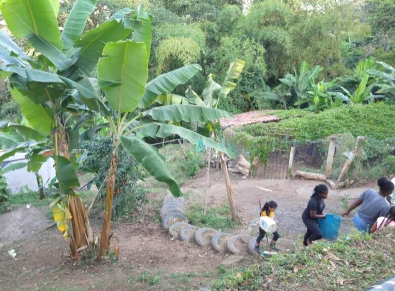 Hillside lot at Fundación Dar Esperanza, Cali, before the garden project